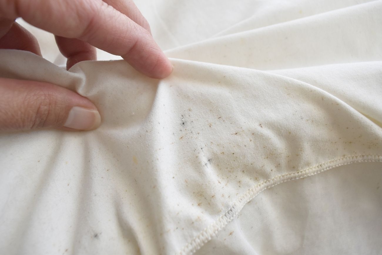 Come rimuovere la muffa dai vestiti? Consigli efficaci