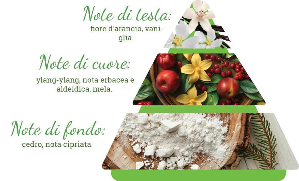 Composizione del profumo