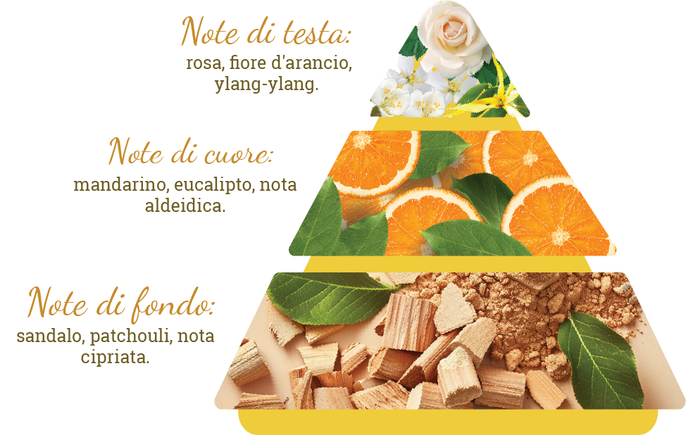 Composizione del profumo