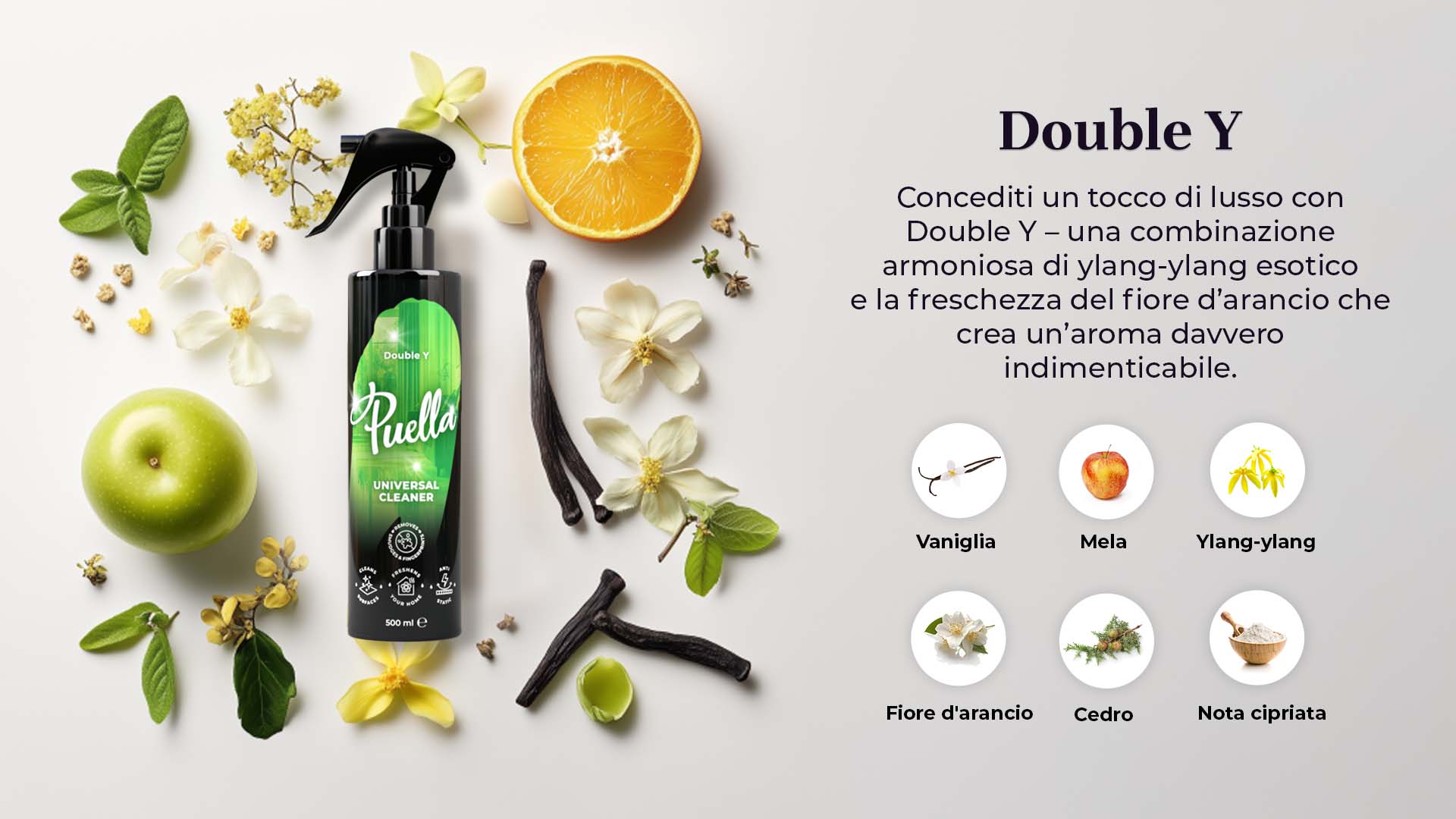 Web banner