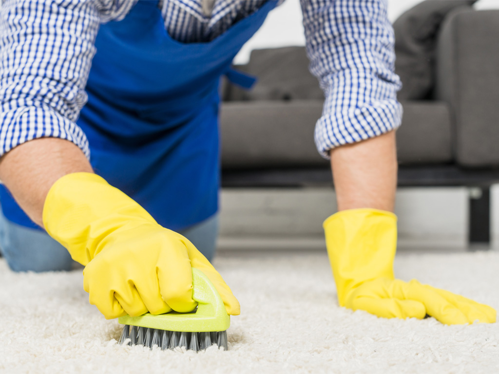 Don't Sweep It Under the Carpet: Spring Cleaning Carpet Tips