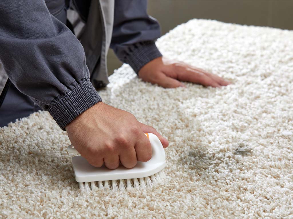 Home Cleaning