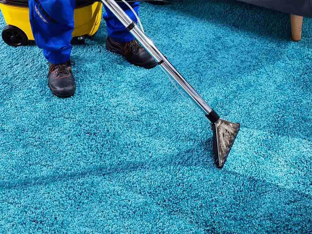Professional Cleaning