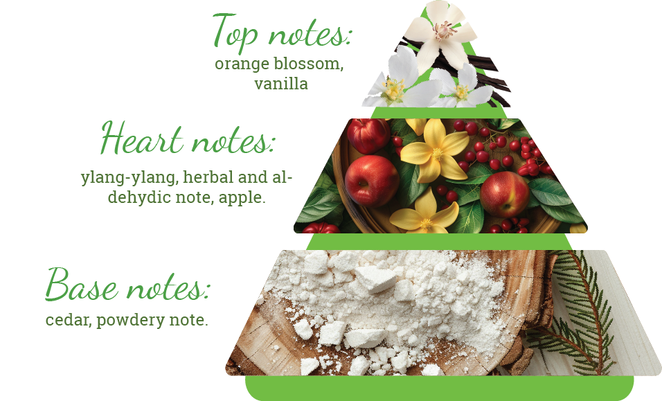 Composition of the perfume's scent