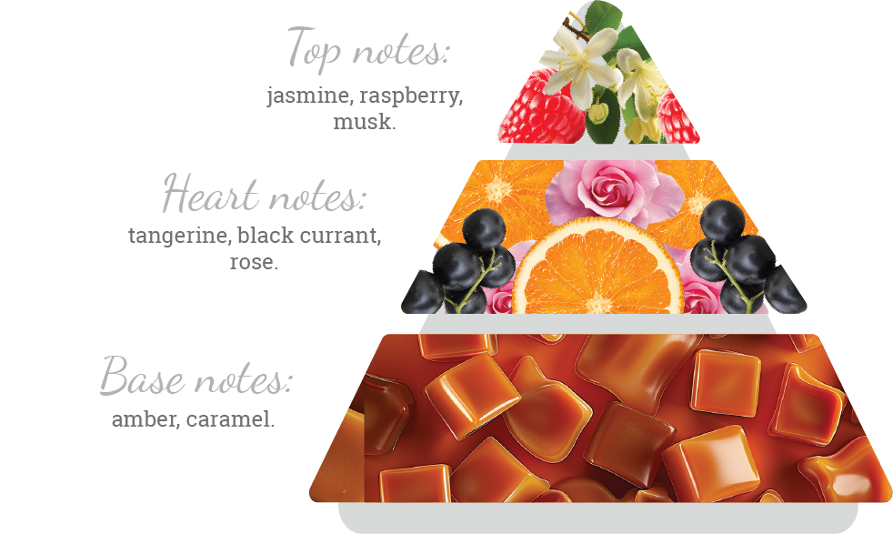Composition of the perfume's scent