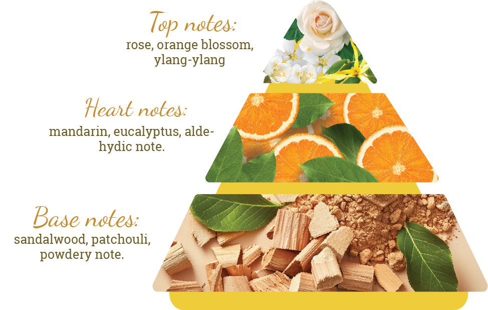 Composition of the perfume's scent