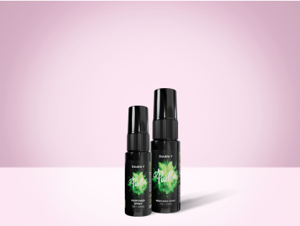 Puella vôňa do bytu Double Y