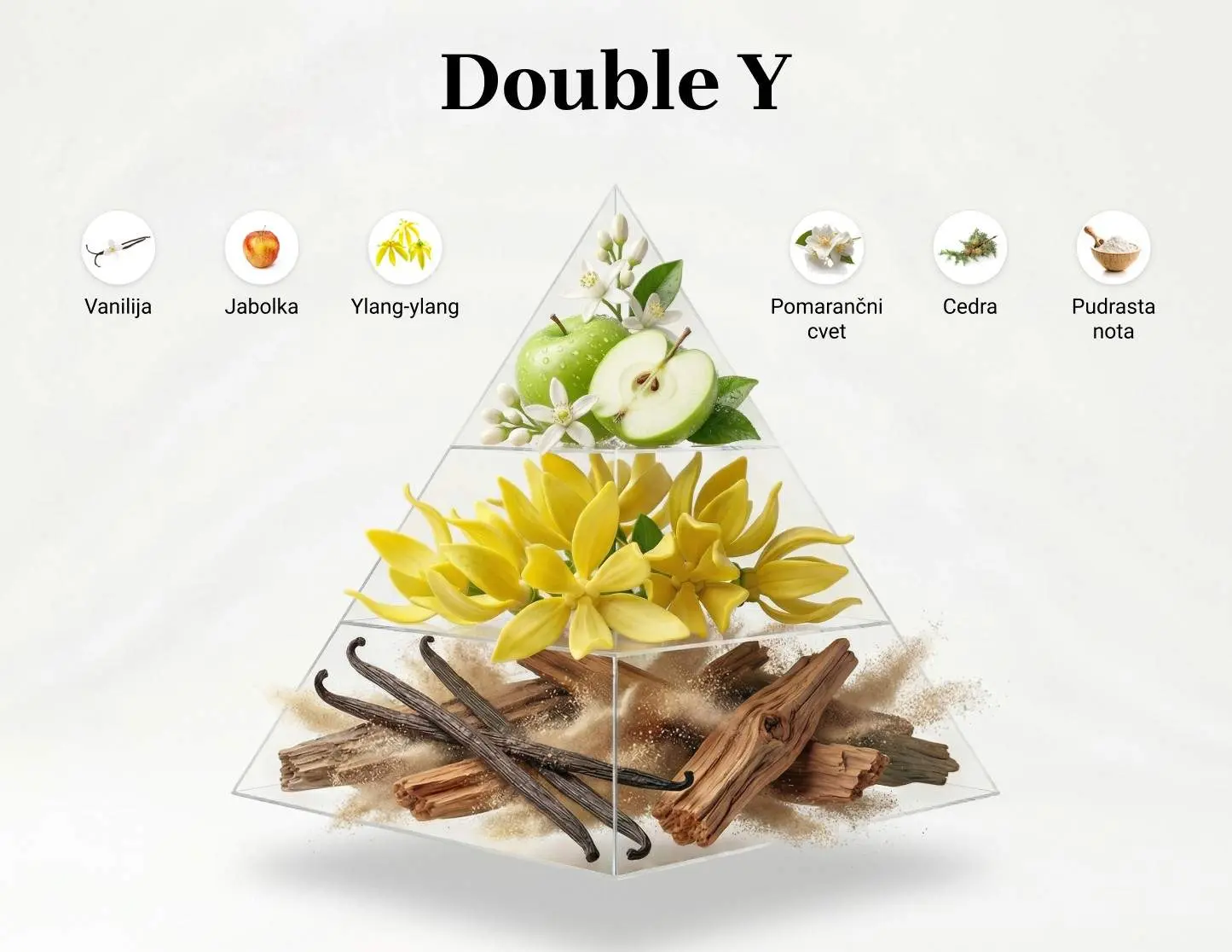 Double Y