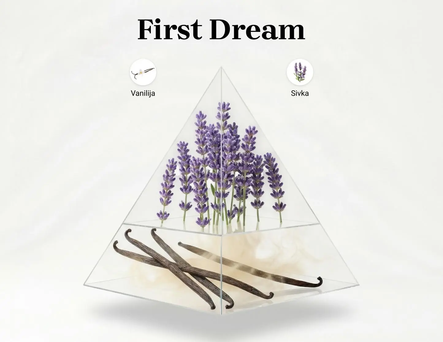 First Dream