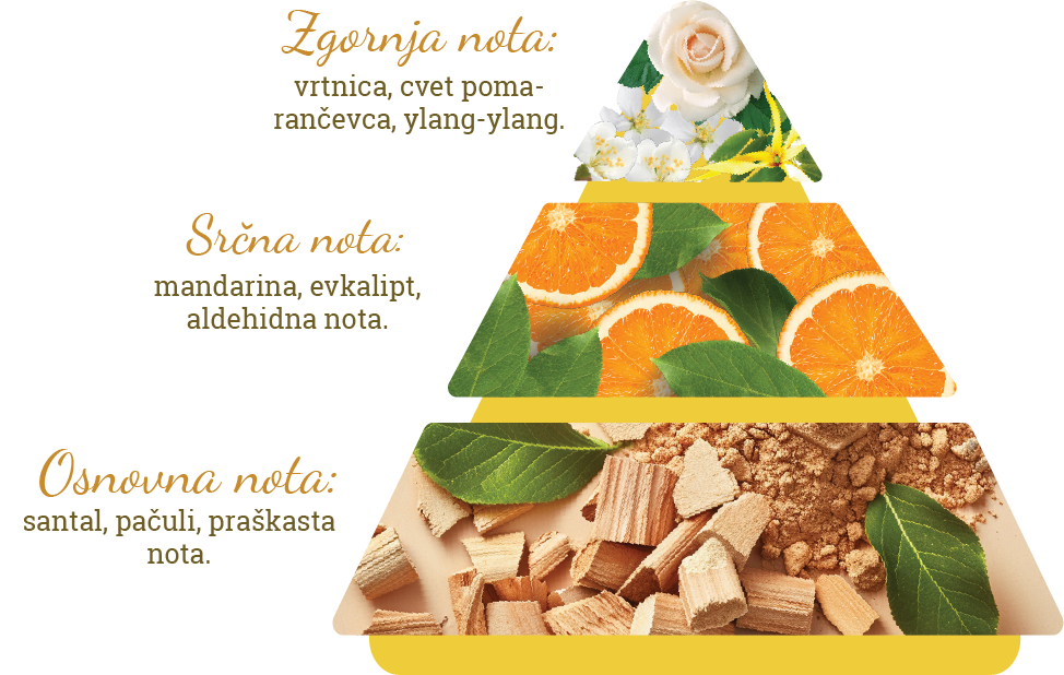 Sestava vonja parfuma