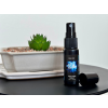 29791 1 parfum za dom puella emija