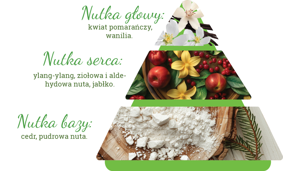 Skład zapachu perfum