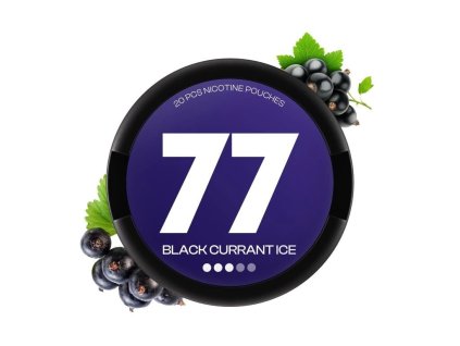 77 Pouches Black Currant - nikotinové sáčky černý rybíz
