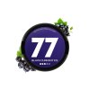 77 Pouches Black Currant - nikotinové sáčky černý rybíz