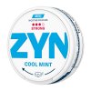 zyn cool mint 6 mg krabička 241870878.2025 06 10T05 00 00.000 (1)
