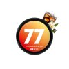 77 Pouches Cola & Vanilla - nikotinové sáčky cola vanilka