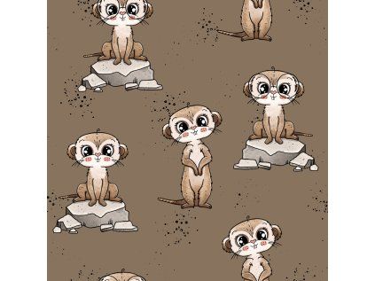 suricats 20x20cm