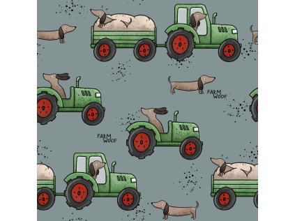 KG DackelFarm 28