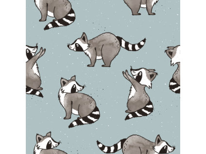 KG Racoons 5
