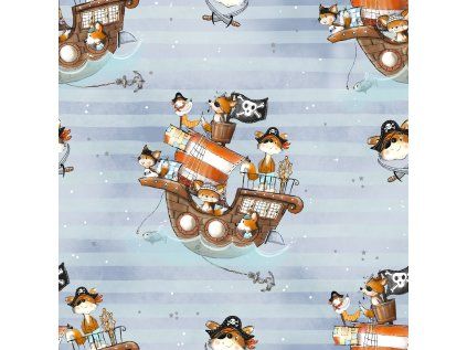 Piraten 17 (2)