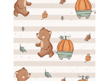 pattern bear and pumpkin colorway 9 2100
