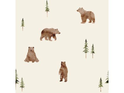 BearintheForest02