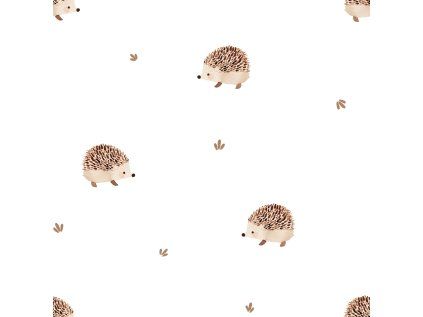 CuteHedgehog02