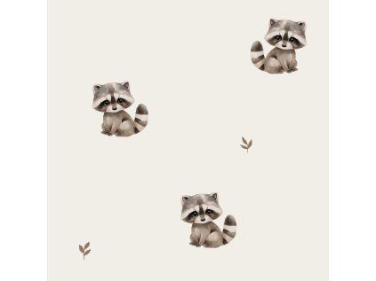 CuteRacoon02