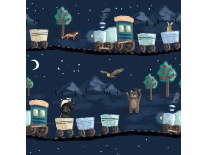 night train