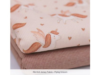 Snímek obrazovky 2026 01 10 082431