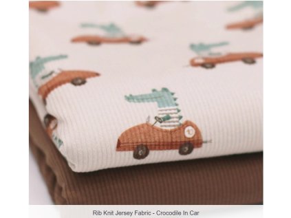 Snímek obrazovky 2026 01 10 082459