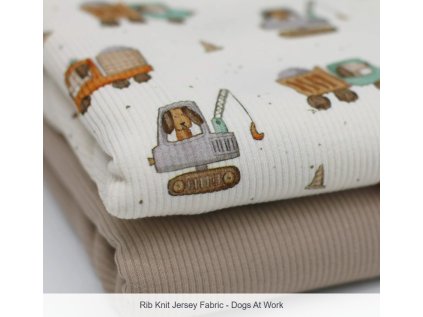 Snímek obrazovky 2026 01 10 082529