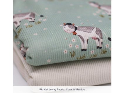 Snímek obrazovky 2026 01 10 082618