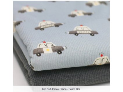 Snímek obrazovky 2026 01 10 082643