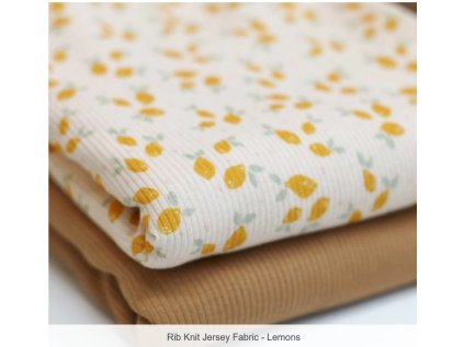 Snímek obrazovky 2026 01 24 125609