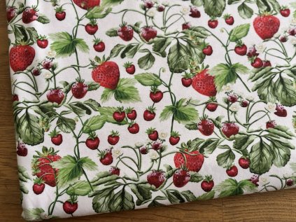 Bavlněný úplet "Puffin" 210g - Na jahodách