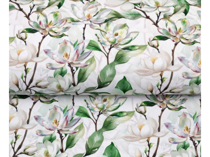 Snímek obrazovky 2026 04 08 170123