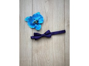 motylek fialova tmava web