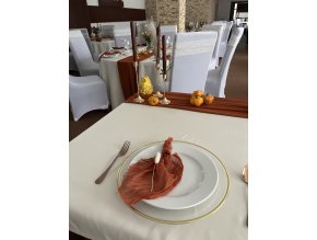 dekorační ubrousek látkový přírodní skořicotá/terracotta