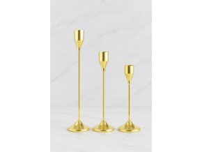 a6353115 74aa 43fc b6e9 812ac314337d