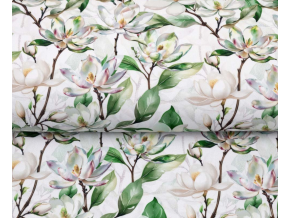 Snímek obrazovky 2026 04 08 170123