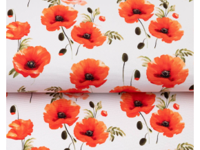 Snímek obrazovky 2026 04 08 165124