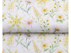 Snímek obrazovky 2026 04 08 165556