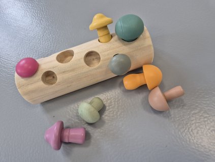 Vkládání - houbičky