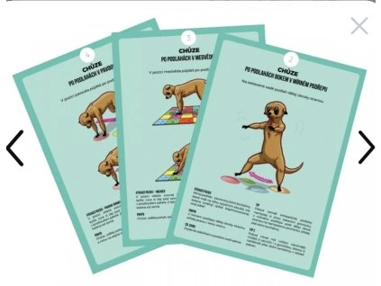 tempFileForShare 20260305 134956