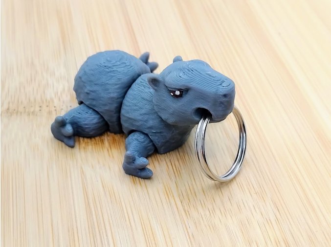 KAPYBARA