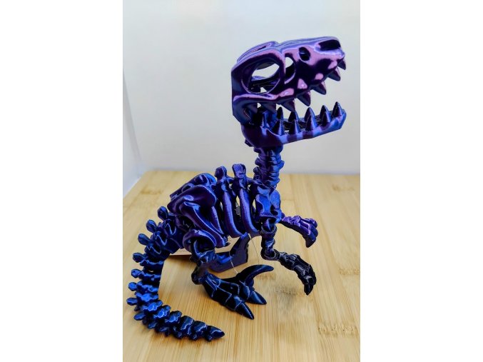 T-REX