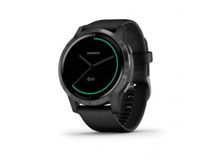 Garmin Vívoactive 4  Gray / Black Band