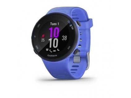 Garmin Forerunner 45S  Optic Berry