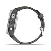 Garmin Fenix 7S Pro Solar  Silver / Black Band